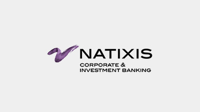 The innovative approach of Natixis' M&A Advisory team is based on an international network of multi-shops with local and specialized expertise.