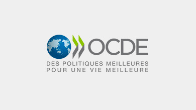 (New window) Les principes directeurs de l’OCDE à l’attention des entreprises multinationales 