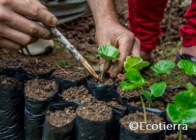 Le fonds Land Degradation Neutrality (LDN) : une initiative exemplaire au service de la planète