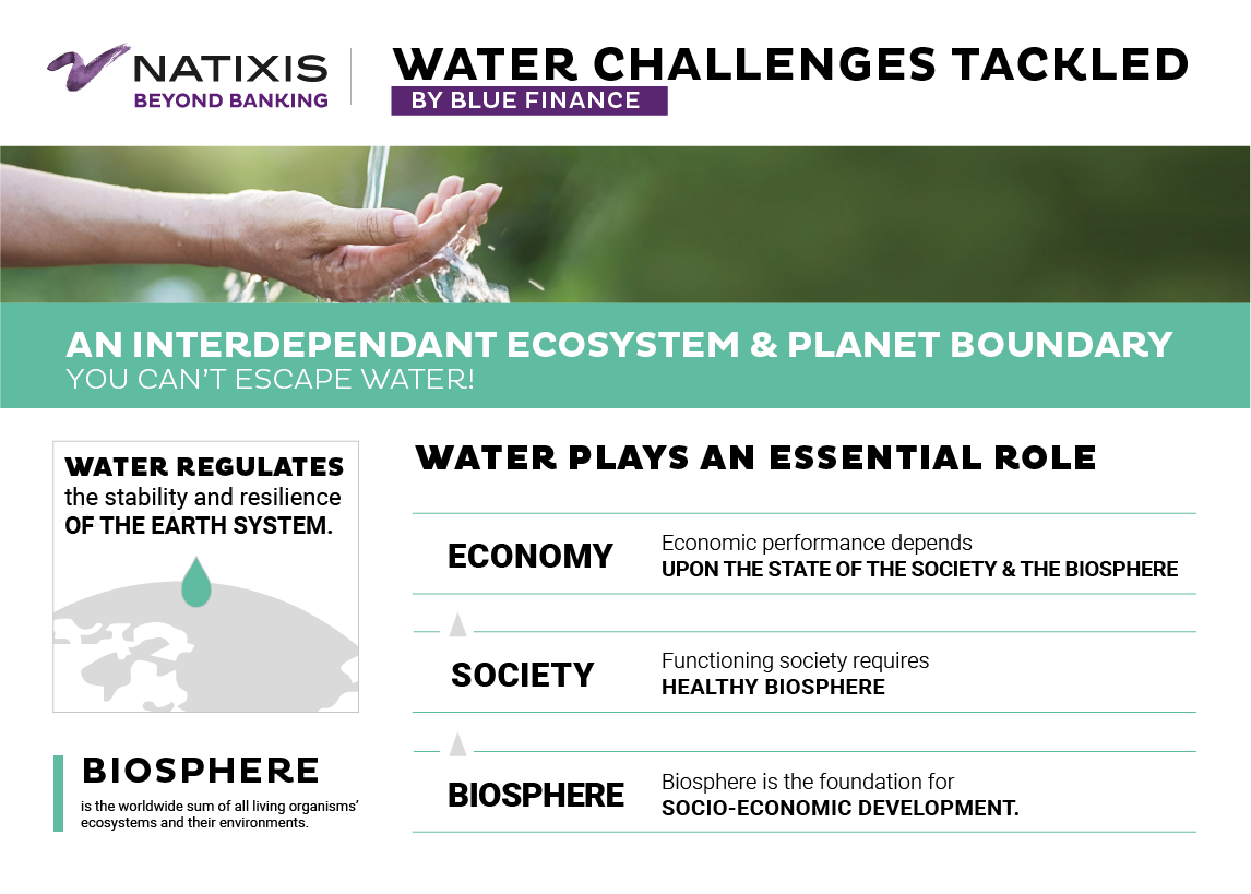 Natixis water study-interdependant ecosystem