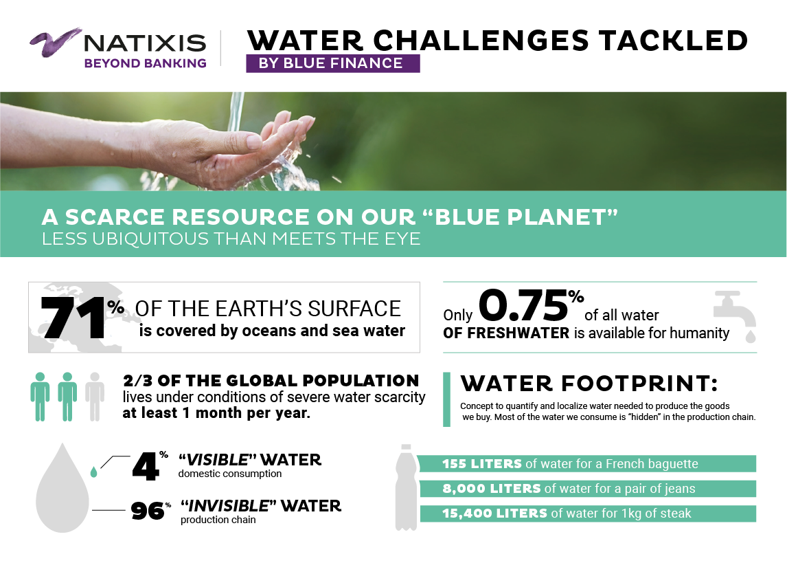 Natixis water study-invisible consumption