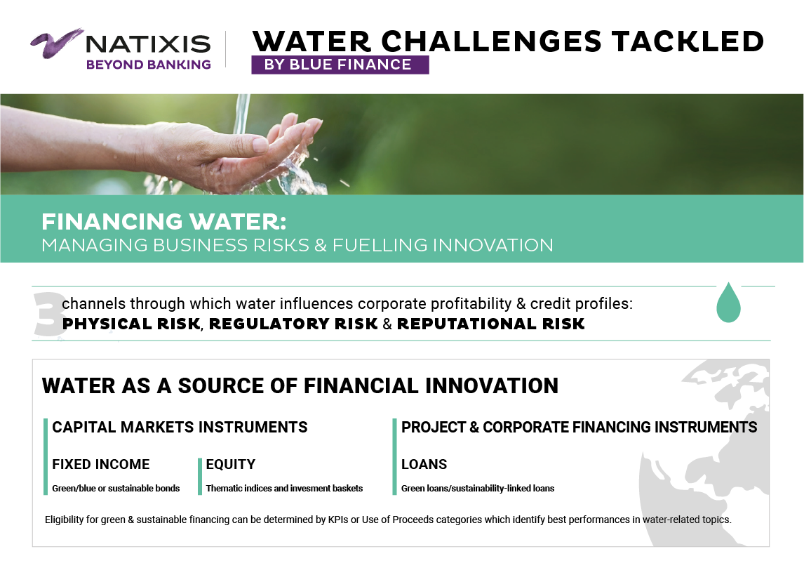 Natixis water study-managing business risks